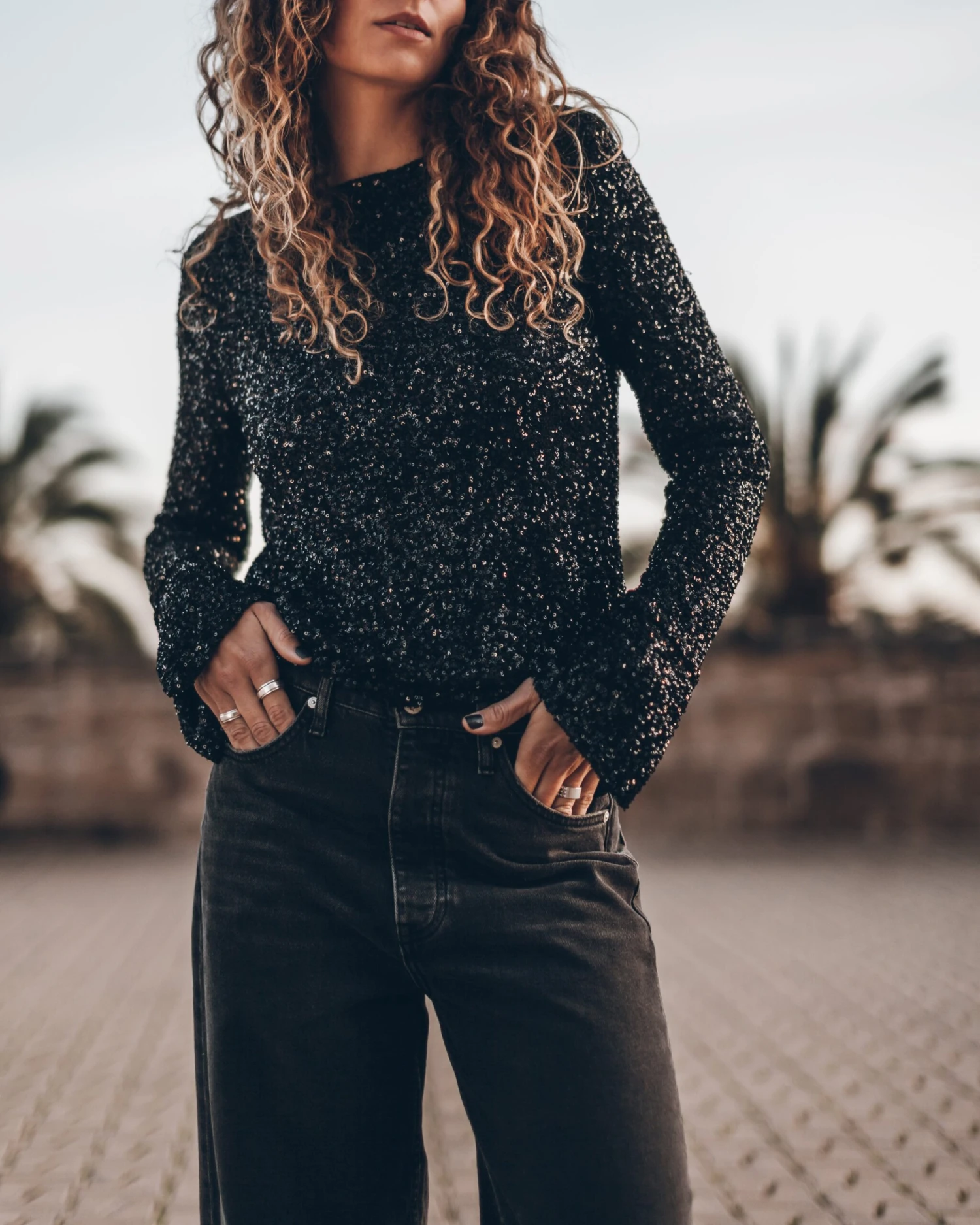 The Black Sequin Blouse 3 The Black Sequin Blouse